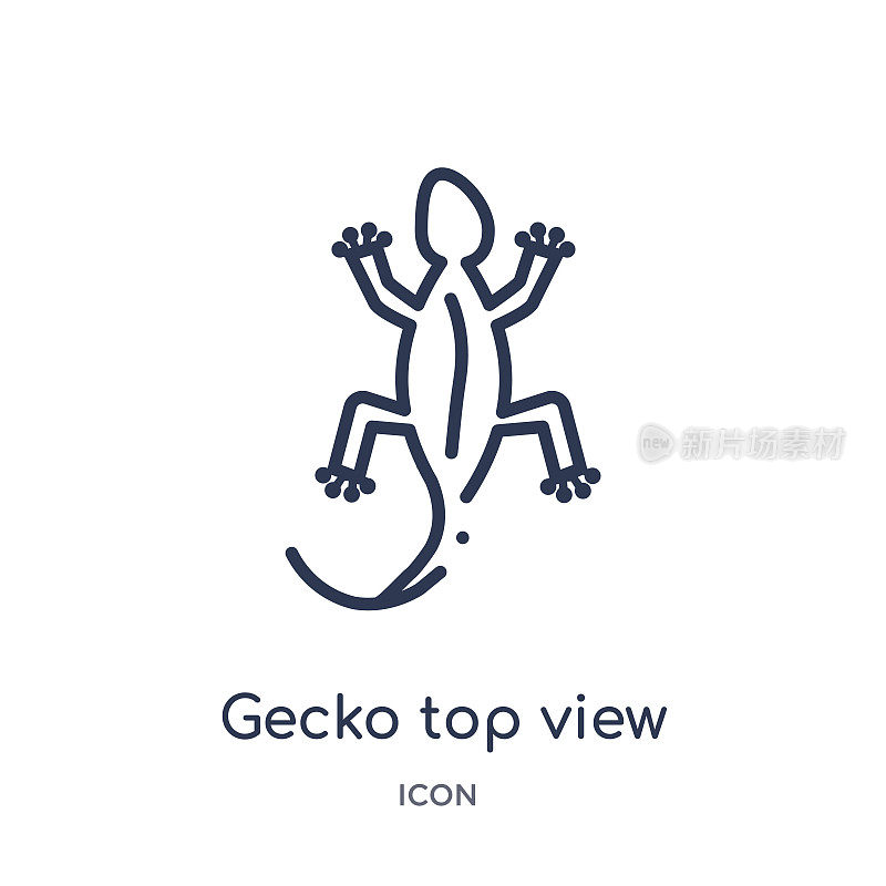 Linear gecko top view shape icon from Culture outline collection. Thin line gecko top view shape vector isolated on white background. gecko top view shape trendy illustration